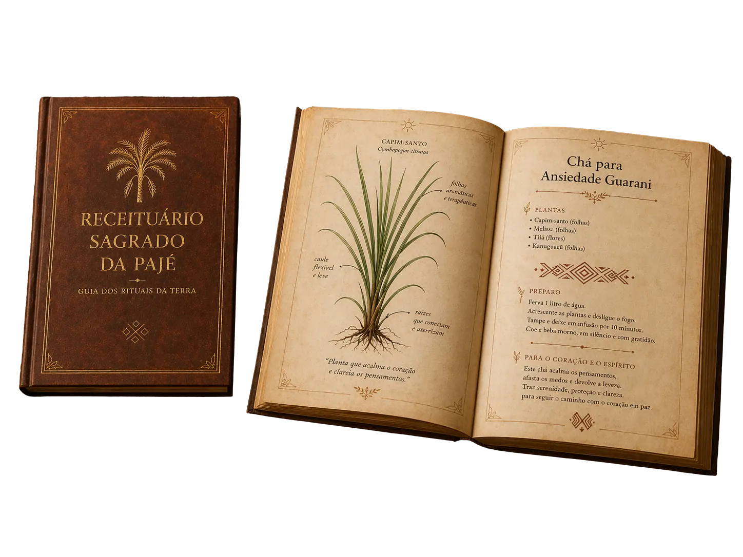 Mockup Receituário Sagrado da Pajé