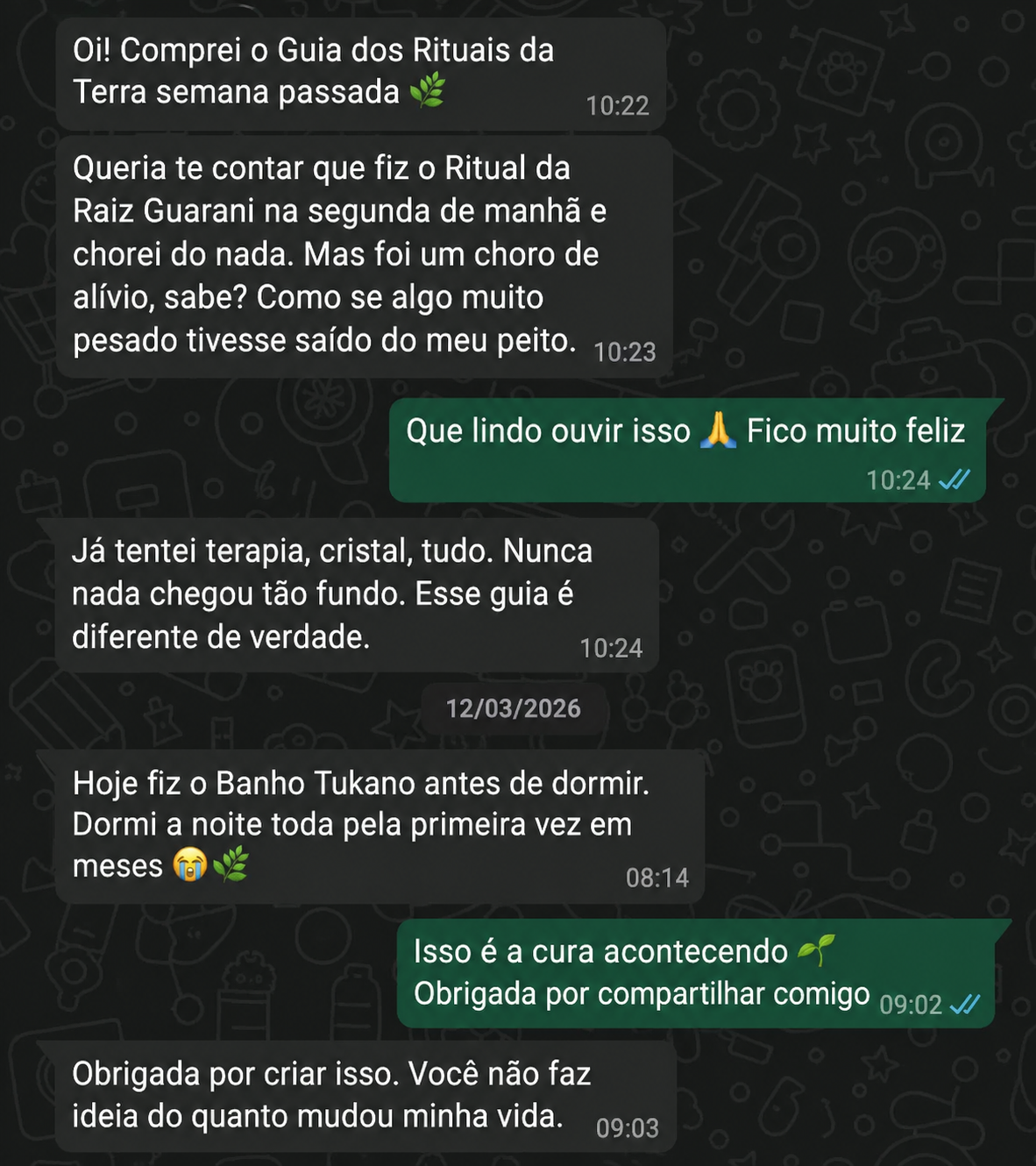 Depoimento 3 de aluno do Guia dos Rituais