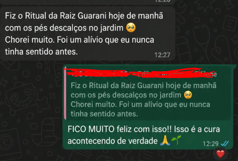 Depoimento 5 de aluno do Guia dos Rituais