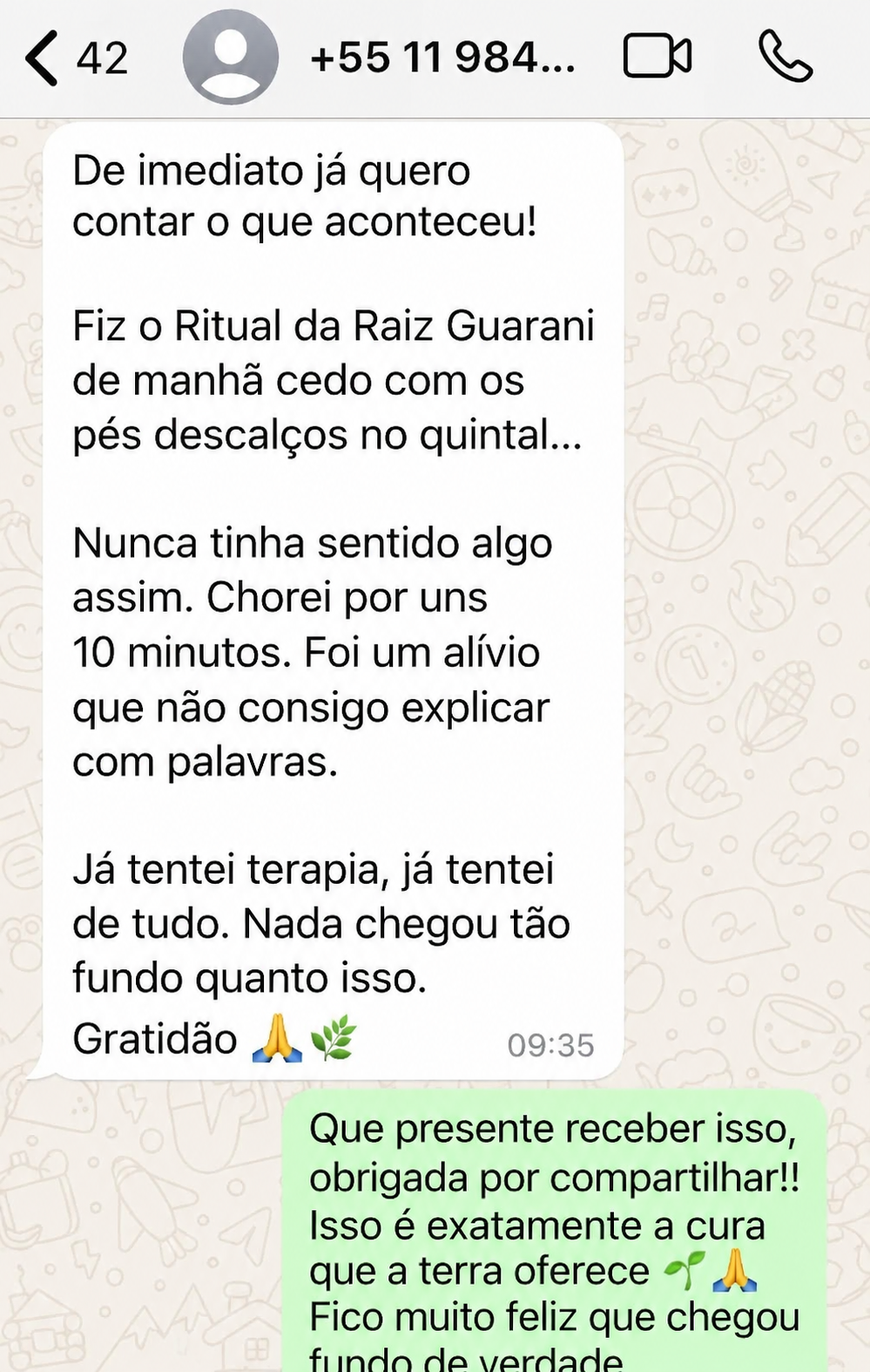 Depoimento 6 de aluno do Guia dos Rituais